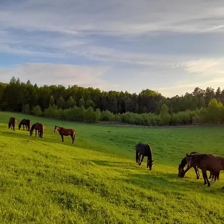Farma Osrodek Agroturystyczny Hajduki Chynowie
